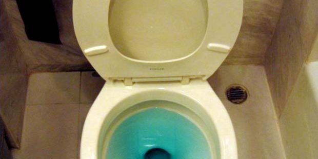 BlockedToilet Picture of a Blocked Toilet