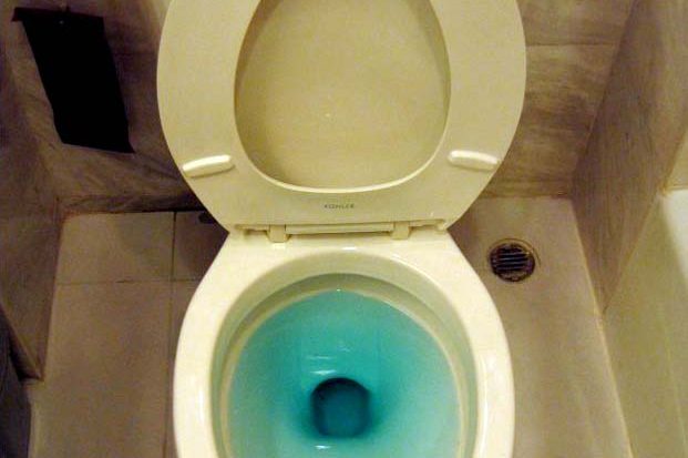 BlockedToilet Picture of a Blocked Toilet