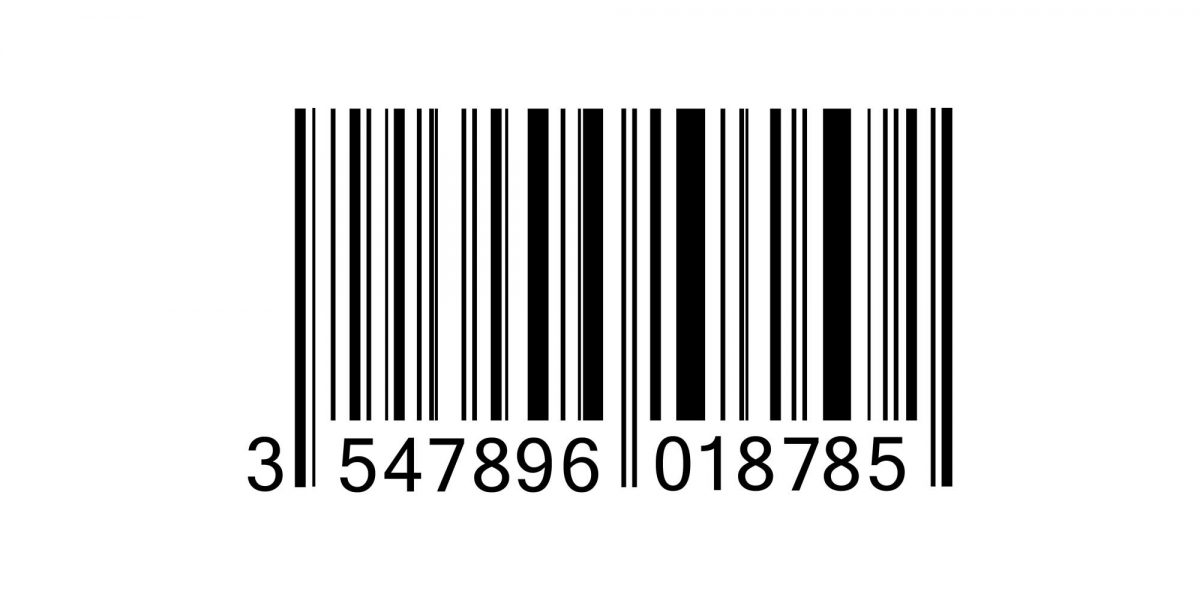 software development