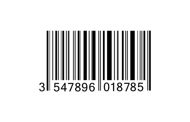 software development